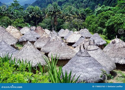 colombian native indian tribes lost city.